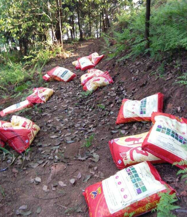 石城山工区施底肥，苗木修剪及栽植.png